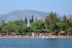 The Beach